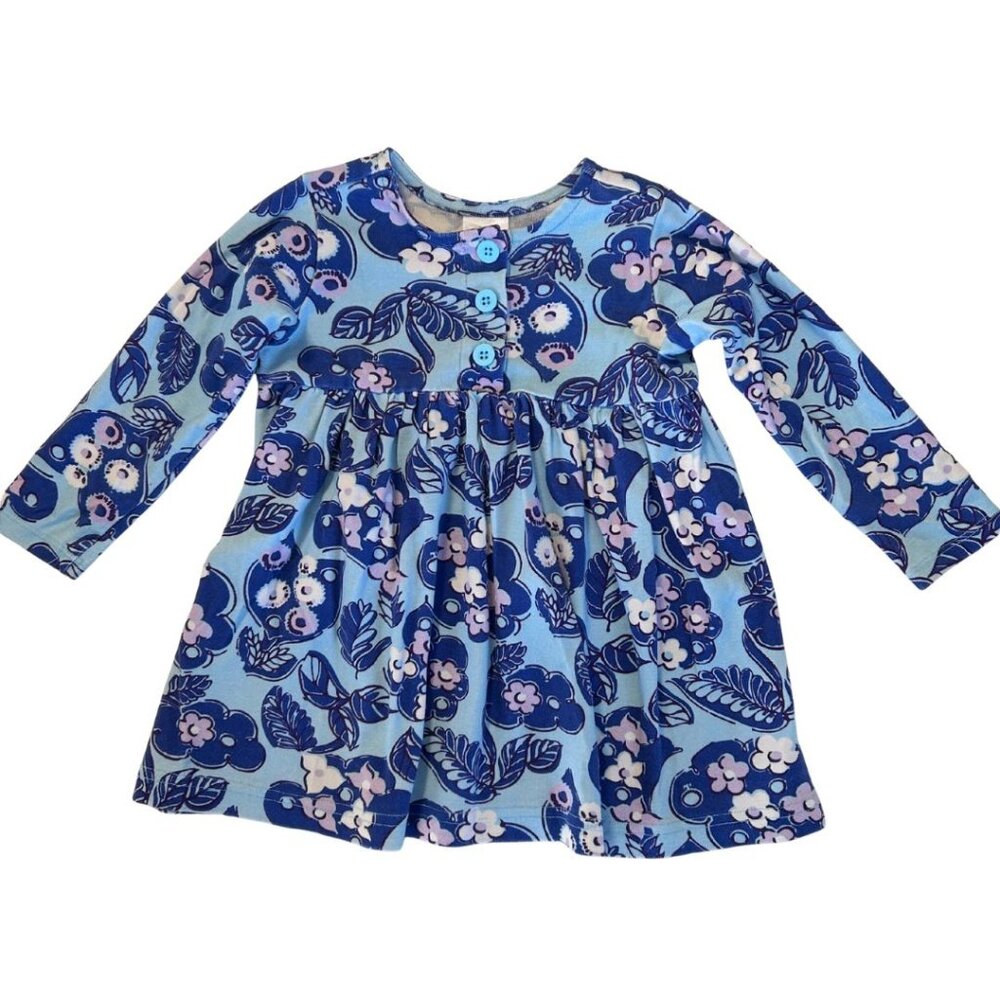 Hanna Andersson Blue and Purple Flowered Dress, size 2T/85 cm